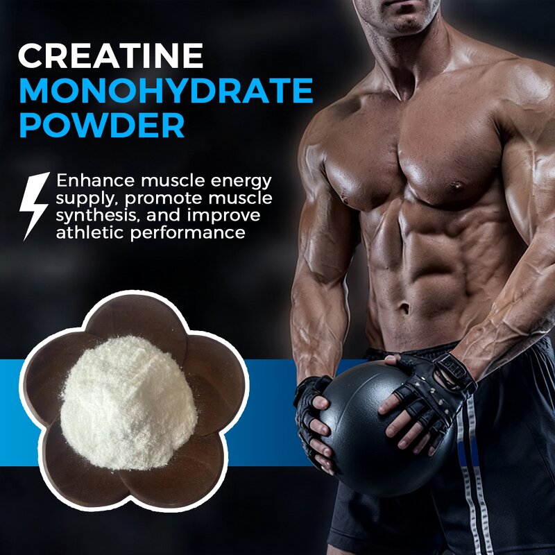 Creatine Monohydrate Manufacturer - 99% Pure Raw Powder in 1kg Bulk