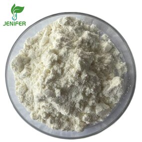 Saw Palmetto Extract Manufacturer - Berry Powder and Capsules