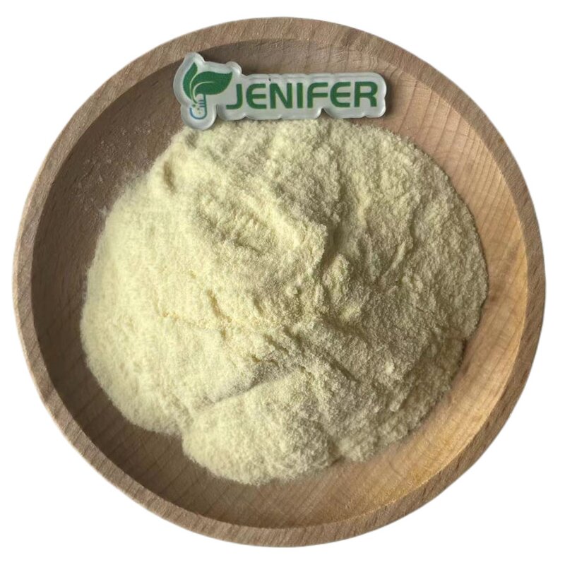 Pineapple Extract Bromelain Enzyme Powder Manufacturer - 100,000 U/g Potency