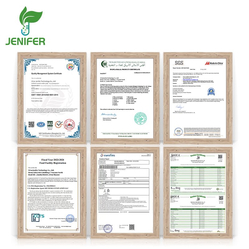 B.infantis Probiotics Bulk Supply - Bifidobacterium Longum Subsp. Infantis