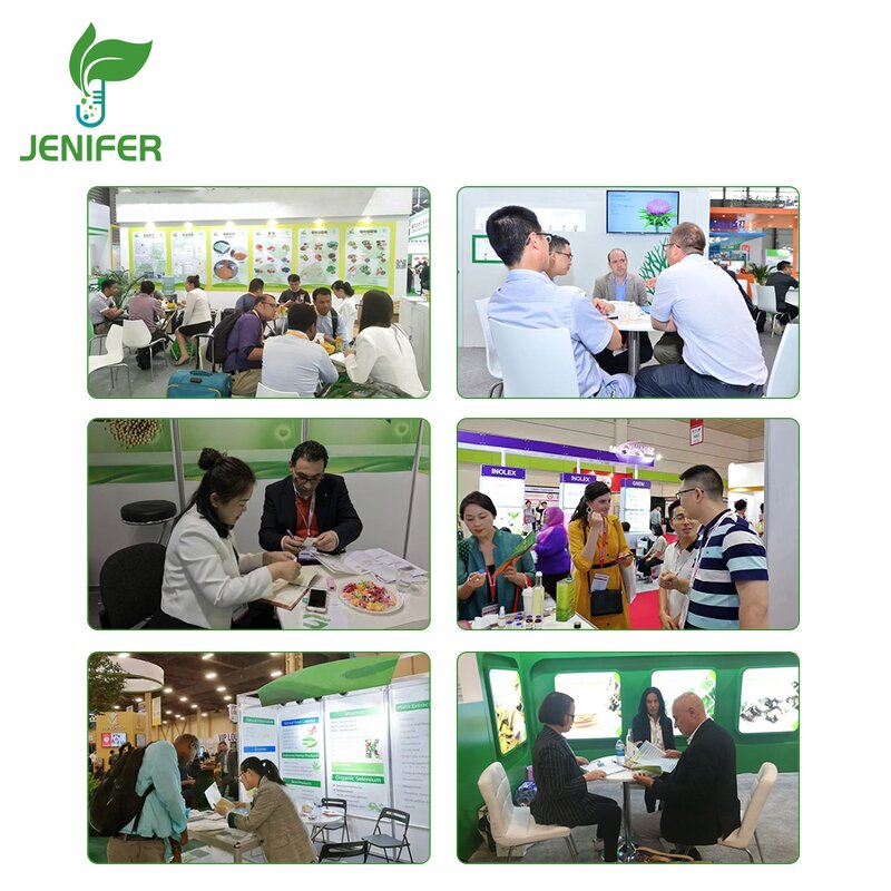 Beta Ecdysterone Powder Manufacturer - Natural Dew Grass Extract 10% for Bulk Supply