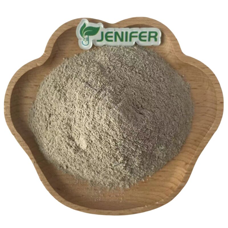 Metarhizium Anisopliae Powder Manufacturer - Agricultural Biological Fungicide & Fertilizer Probiotics