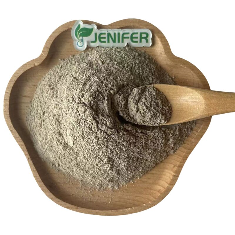 Metarhizium Anisopliae Powder Manufacturer - Agricultural Biological Fungicide & Fertilizer Probiotics