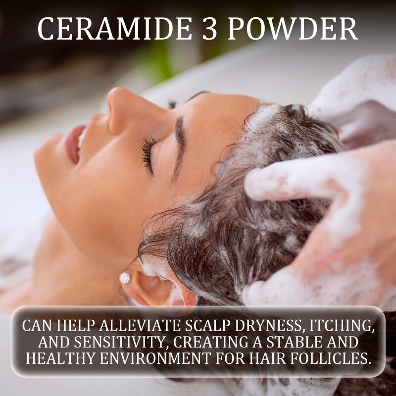 Ceramide 3 Powder Manufacturer - 99% Pure CAS 100403-19-8 Cosmetic Ingredient