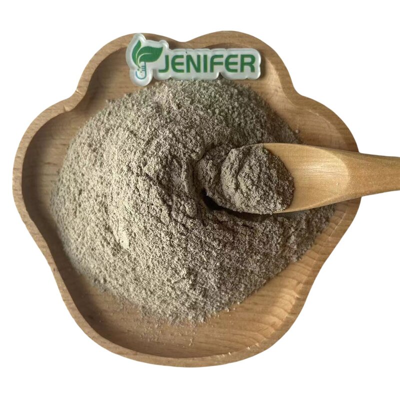 Metarhizium Anisopliae Powder Manufacturer - 10 Billion CFU/g Agricultural Insecticide Probiotics