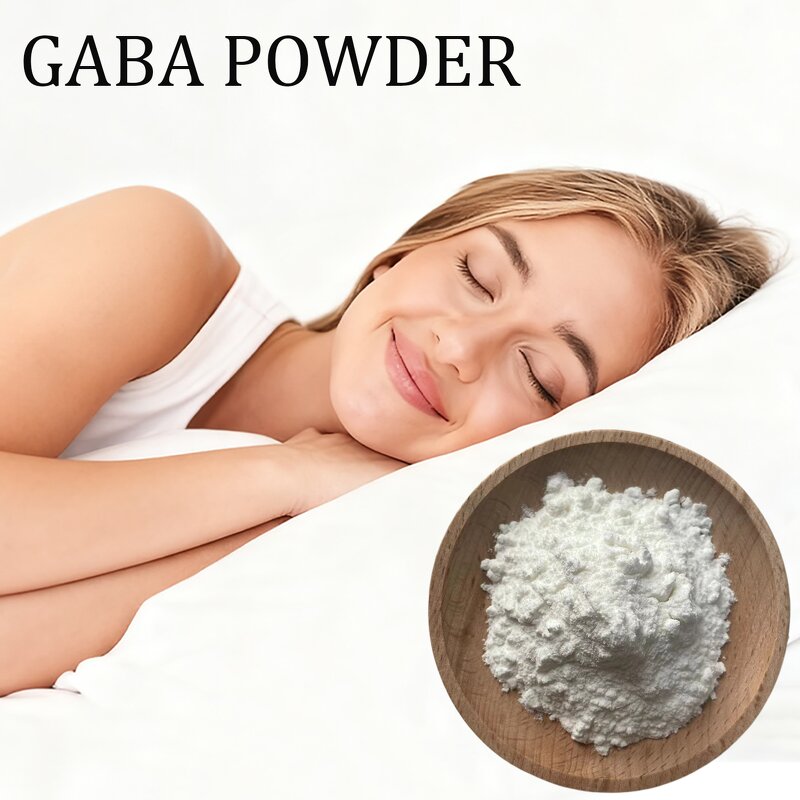 GABA Powder Manufacturer - 99% Pure Gamma Aminobutyric Acid Amino Acid