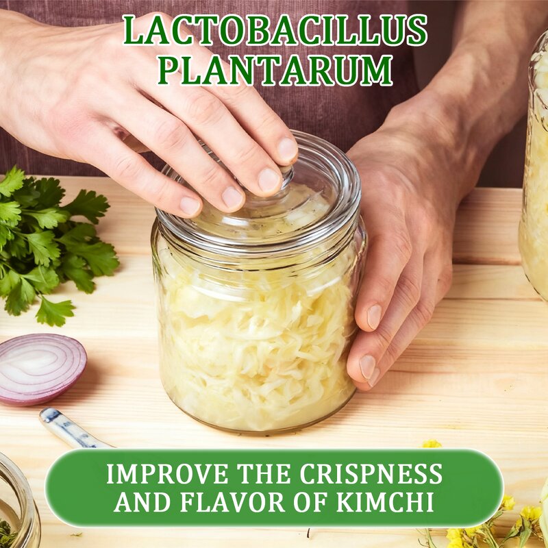 Lactobacillus Plantarum 299v Powder Manufacturer - 10-100 Billion CFU/g Probiotic