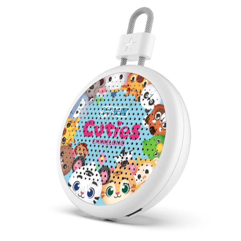 Car Speaker Supplier - FM Mini TWS Bluetooth Portable Speaker