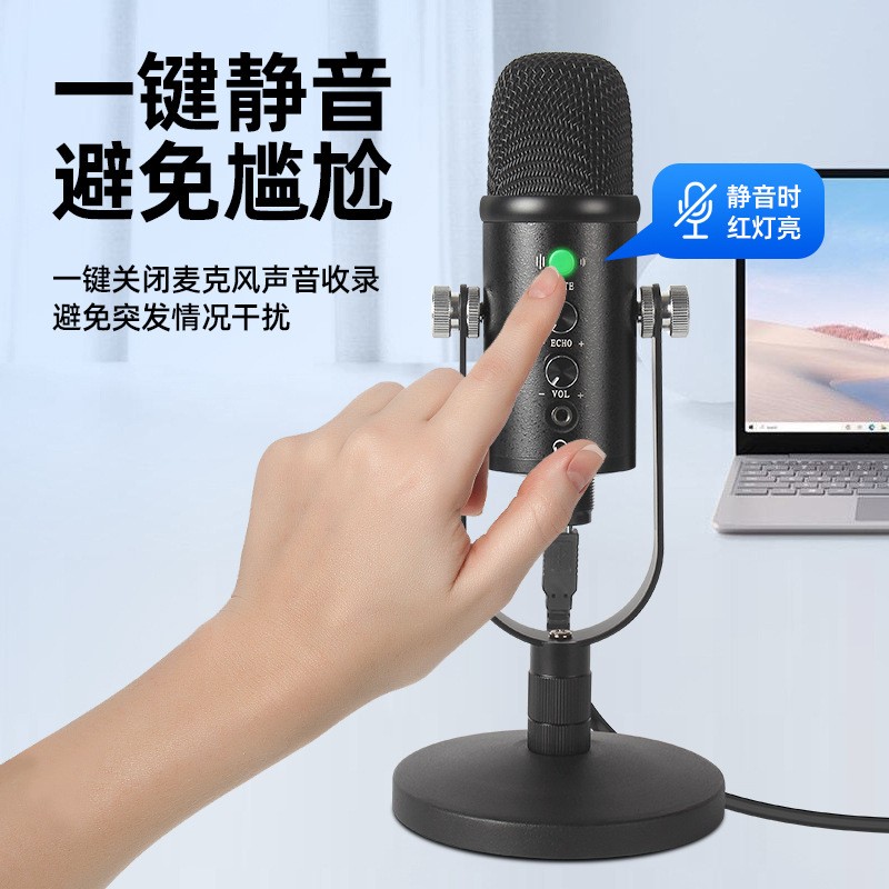 Streaming Microphone Supplier - Professional USB Podcast Boom Arm Mic