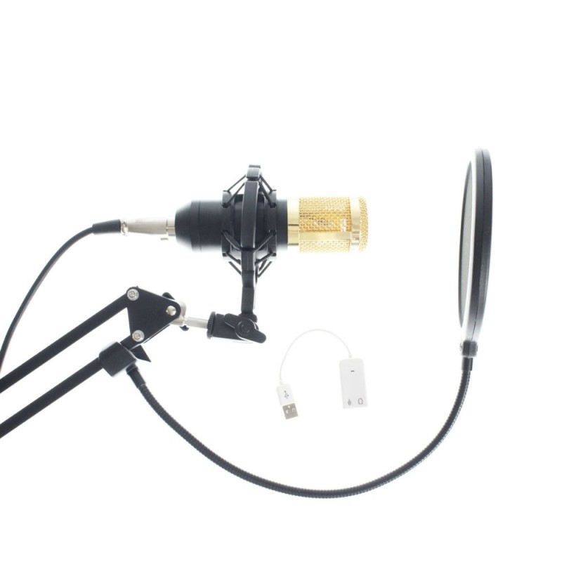 USB Microphone Manufacturer - Condenser Mic with Scissor Arm Stand