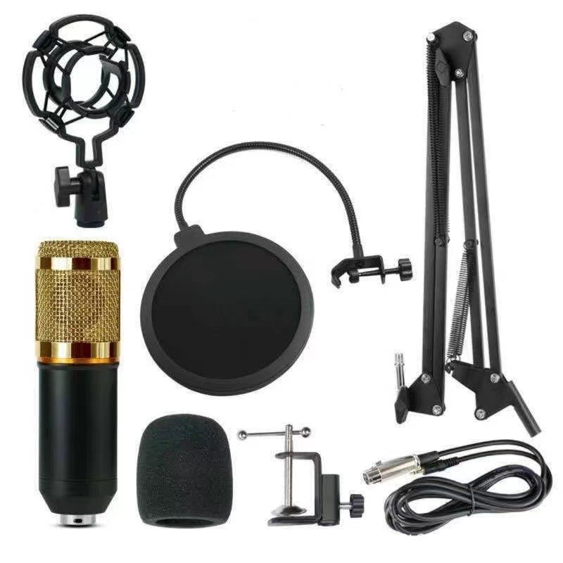 USB Microphone Manufacturer - Condenser Mic with Scissor Arm Stand