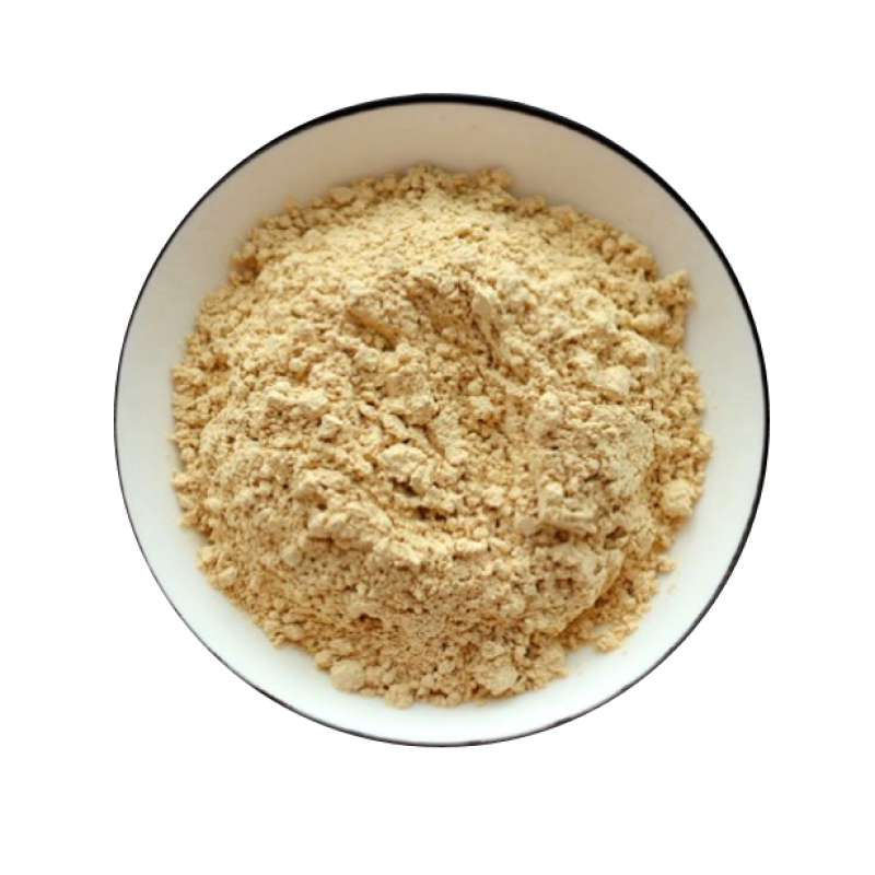 Wholesale Sea Buckthorn Fruit Powder Supplier - Organic Sea Buckthorne Extract Competitive Price