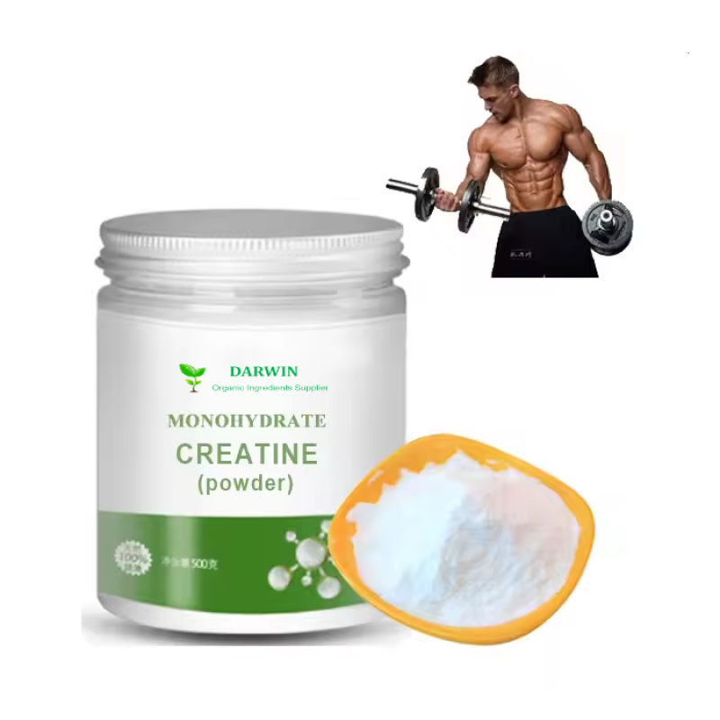 Factory Direct Weight Gain Protein Powder Supplier - Pure Creatine Monohydrate Powder Bulk