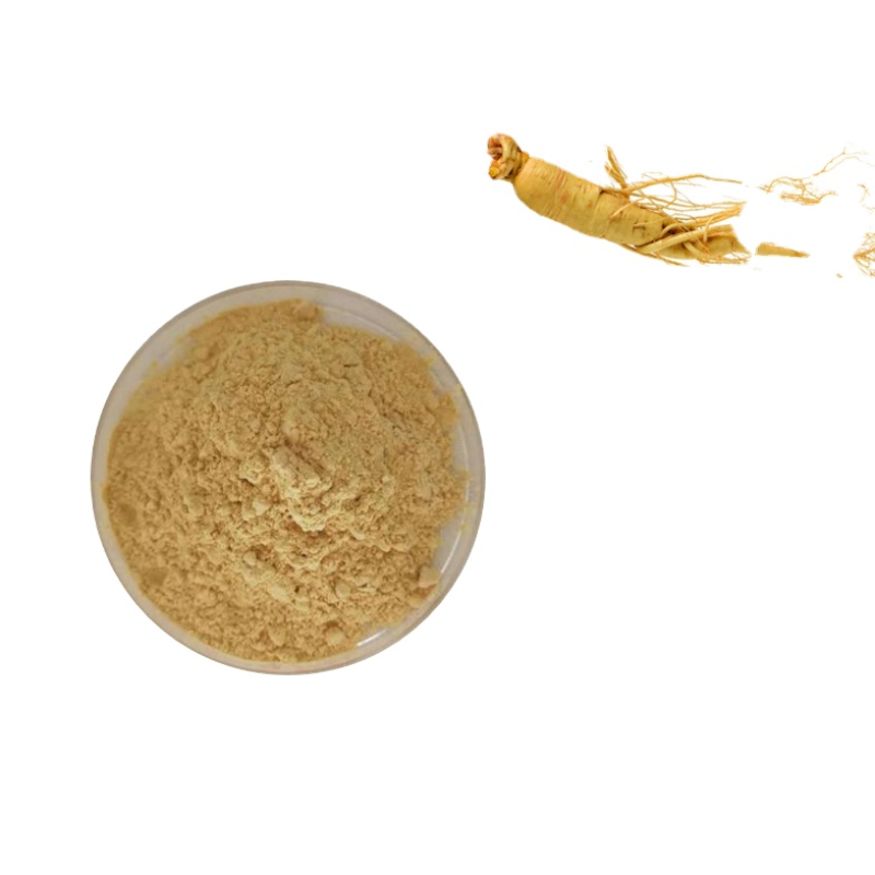 OEM Organic Mint Leaf Powder Factory - Mint Leaf Extract Wholesale Private Label