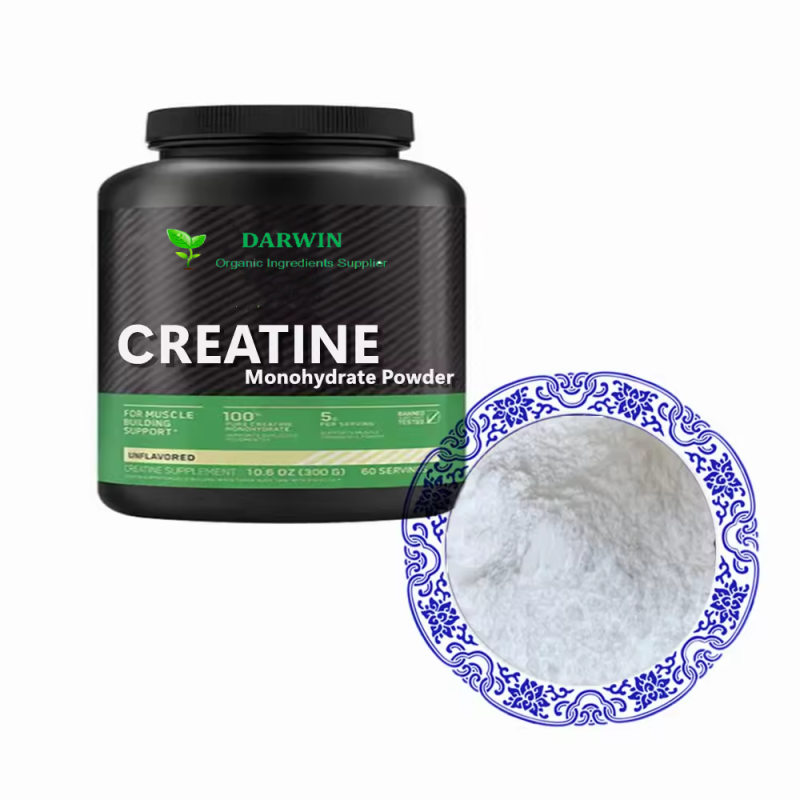 Wholesale Creatine Monohydrate Powder Factory - 200 Mesh Pure 1kg Creatine Muscle Support