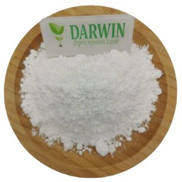 OEM L-Carnosine Capsules Factory - High Quality L-Carnosine Powder Carnosine Supplement Private Label