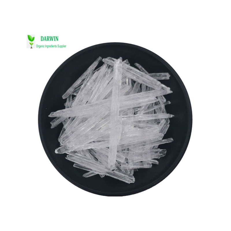 Wholesale Synthetic Menthol Crystal Manufacturer - 99% Mint Menthol Competitive Pricing