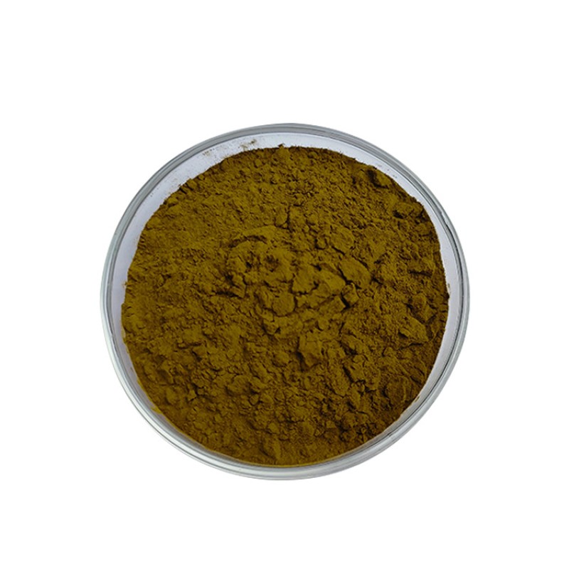 Source Factory Turkesterone Powder Supplier - 2% 10% 40% Ajuga Turkestanica Extract