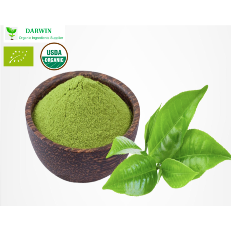 Darwin Tilia Europaea Flower Extract Wholesale - 10:1 Linden Flower Extract Bulk Supply