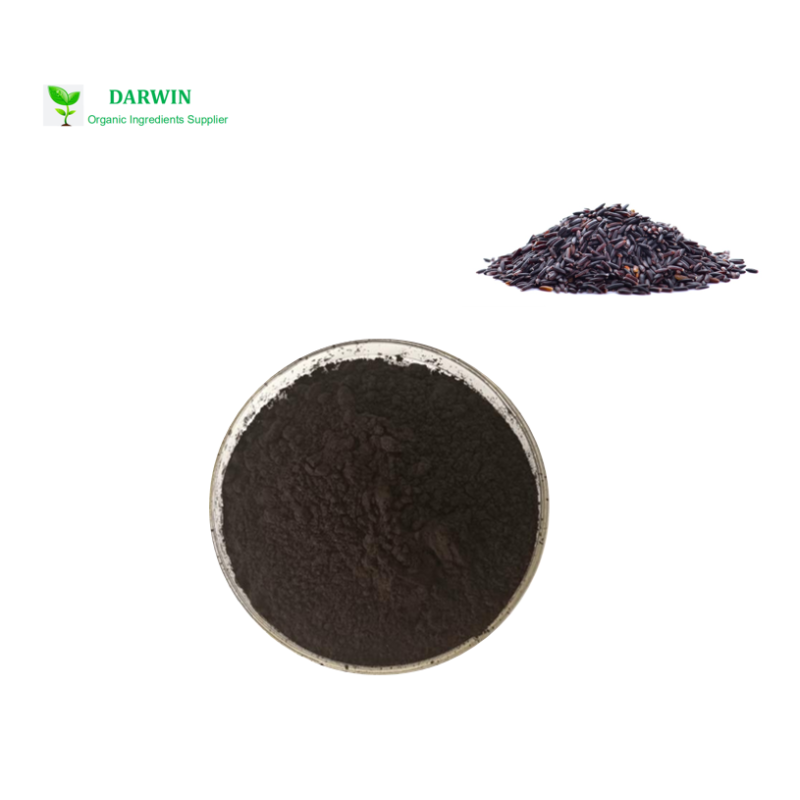 Source Factory Pea Protein Isolate Manufacturer - Organic Plant Based Protein Bulk Manufacturing
