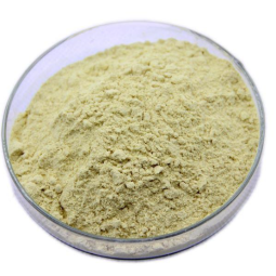 Darwin OEM Instant Mushroom Coffee Powder - Reishi Coffee Immune Booster Mushroom Blend Custom Formula