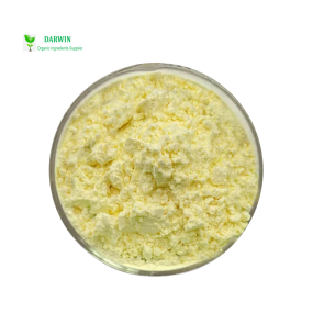 Source Factory Organic Kava Root Extract - Water Soluble Kava Kavalactones Raw Material