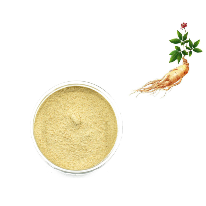 Wholesale Organic Matcha Powder Supplier - Ceremonial Grade Matcha Free Sample Available