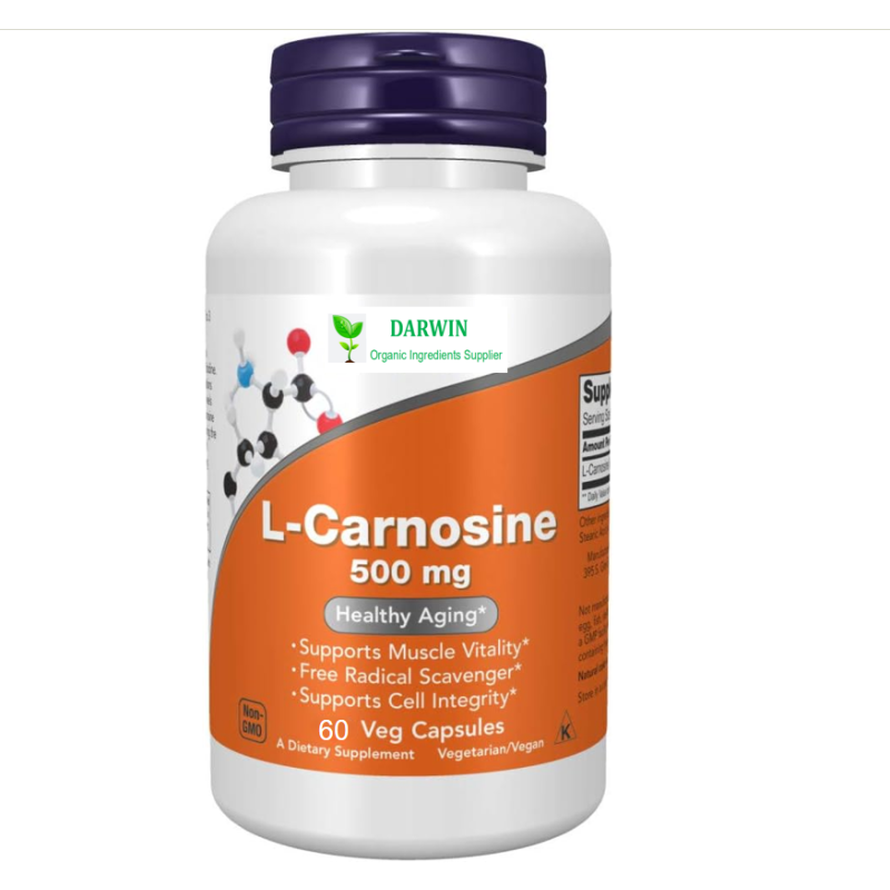 OEM L-Carnosine Capsules Factory - High Quality L-Carnosine Powder Carnosine Supplement Private Label