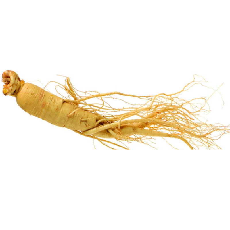 OEM Organic Mint Leaf Powder Factory - Mint Leaf Extract Wholesale Private Label