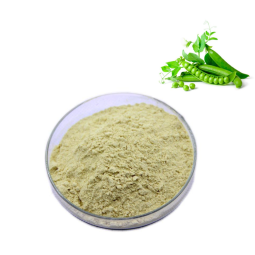 OEM Body Building Pea Protein Isolate Powder Factory - 80% 85% Organic Pea Protein Supplement