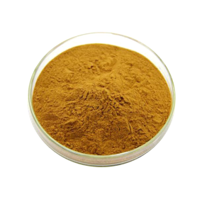 Wholesale Organic Dong Quai Root Extract Powder - Artemisia Lactone Angelica Root Powder