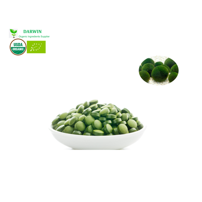 OEM Organic Chlorella Tablets Factory - High Quality Chlorella Supplement Private Label