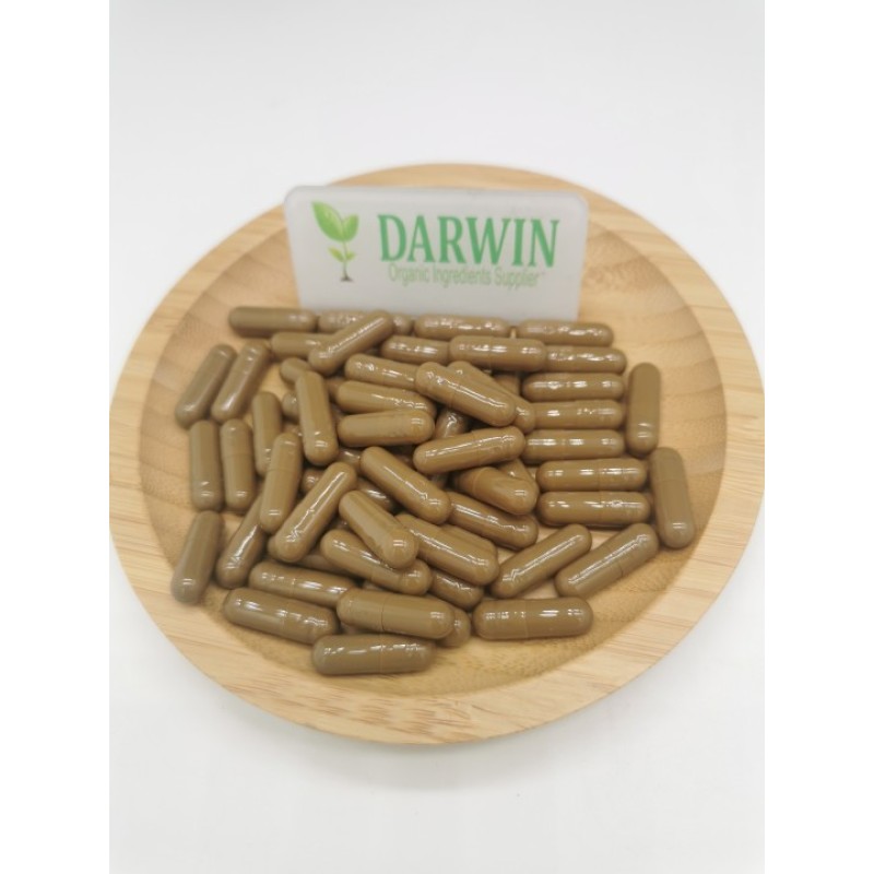 Source Factory Organic Kava Root Extract - Water Soluble Kava Kavalactones Raw Material