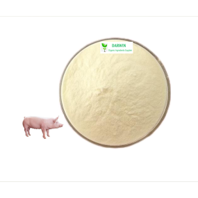 ISO Factory Hydrolyzed Elastin Peptides Powder - Swine Elastin Powder Supplier
