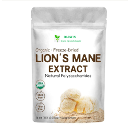 Source Factory Organic Hericium Erinaceus Extract Powder - Lions Mane Mushroom Extract Wholesale