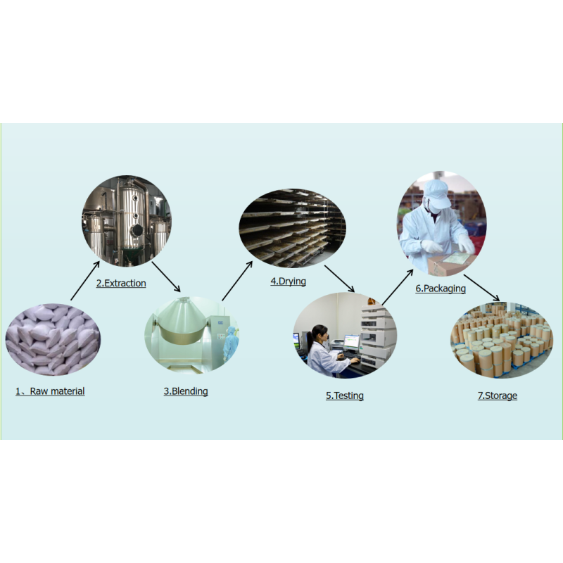 Source Factory Beta NMN Nicotinamide Mononucleotide Powder - 1094-61-7 Pure 99% NMN Powder Wholesale