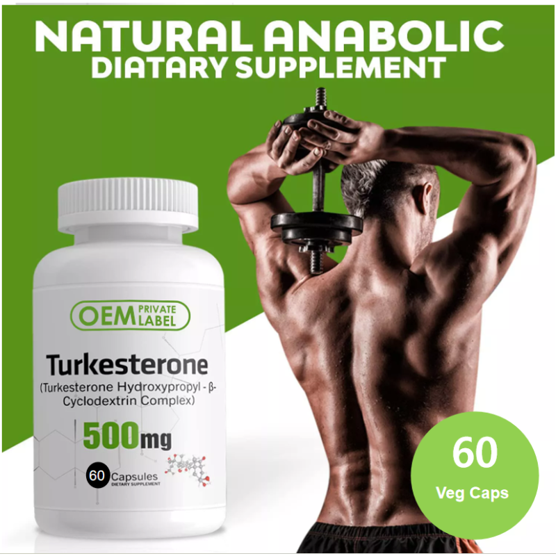 OEM ODM Turkesterone Capsules Manufacturer - USP Turkesterone Cyclodextrin Complex 2% 10% Private Label