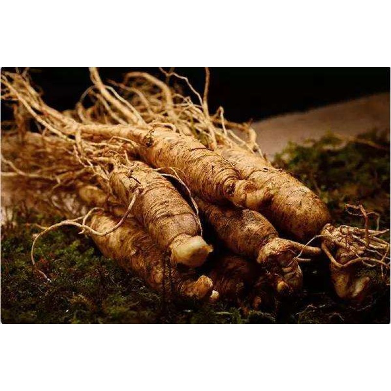 OEM Organic Mint Leaf Powder Factory - Mint Leaf Extract Wholesale Private Label