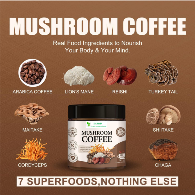 OEM Private Label Herbal Mushroom Coffee Manufacturer - Hericium Erinaceus Cordyceps Grifola Frondosa Chaga Reishi Blend