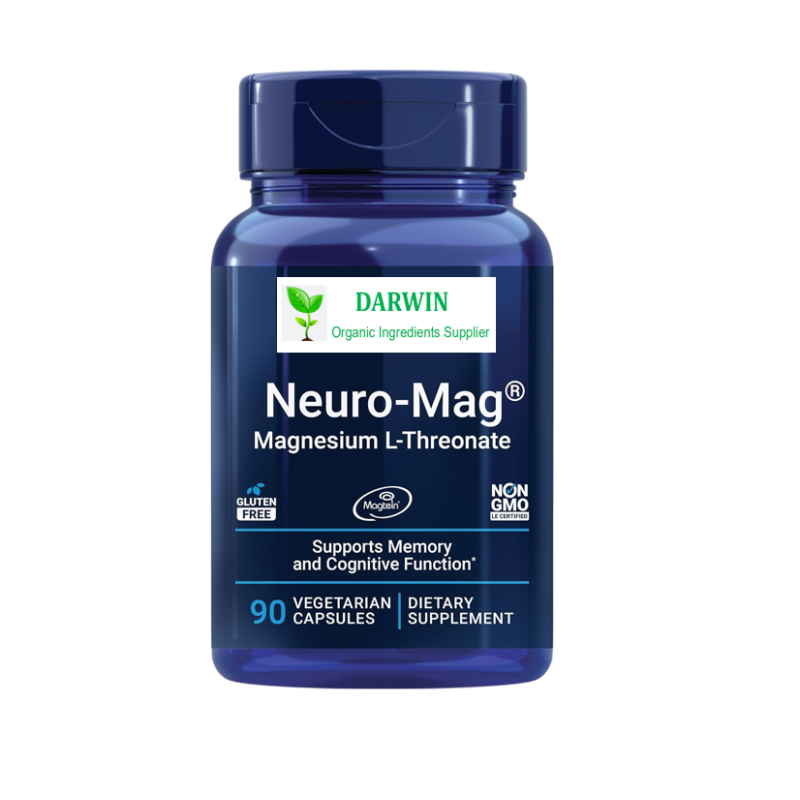 OEM Kids Melatonin Gummy Manufacturer - Drug-Free Sleep Supplement Children