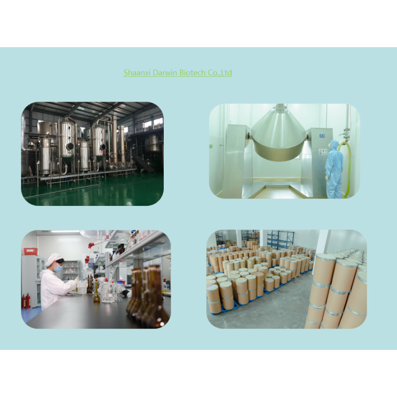 OEM Organic Moringa Leaf Powder Manufacturer - Moringa Powder Wholesale Private Label