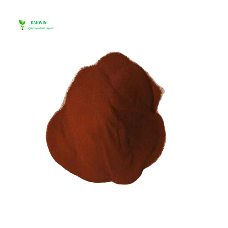 Wholesale Povidone Iodine Powder Manufacturer - 99% PVP-I Powder CAS 25655-41-8