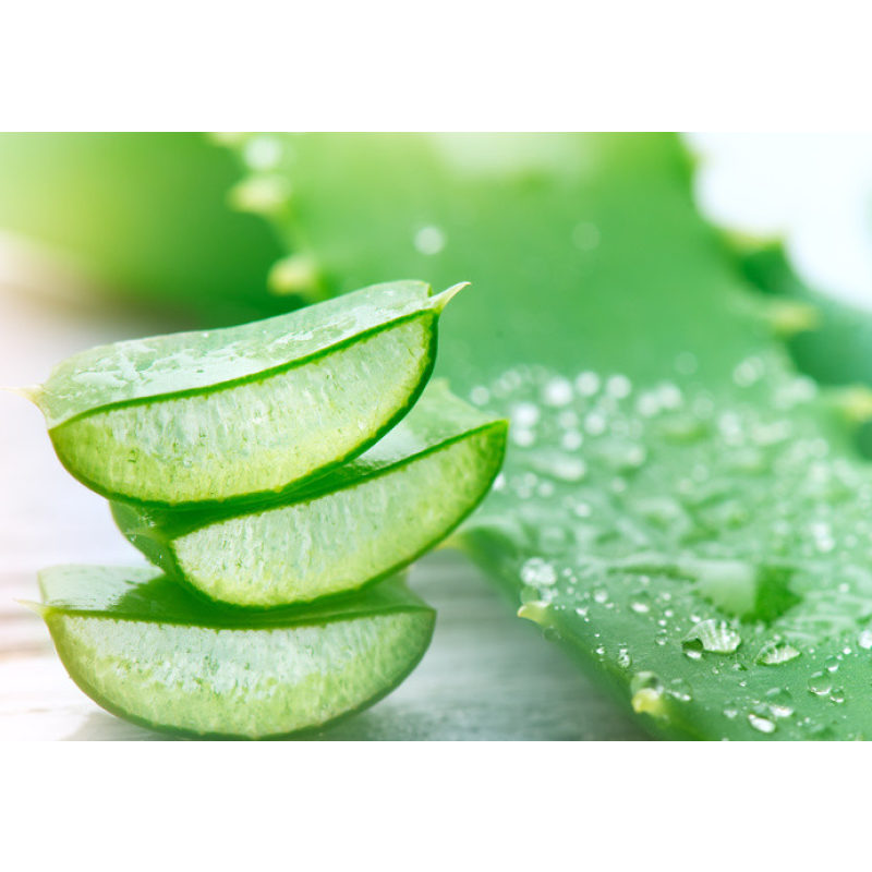 Source Factory Organic Panax Ginseng Root Extract - Changbai Mountain Ginseng Panaxoside Powder