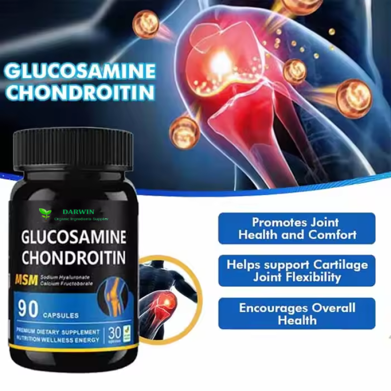 OEM Joint Bone Supplement Manufacturer - Glucosamine Tablets Sulphate MSM Chondroitin Capsules