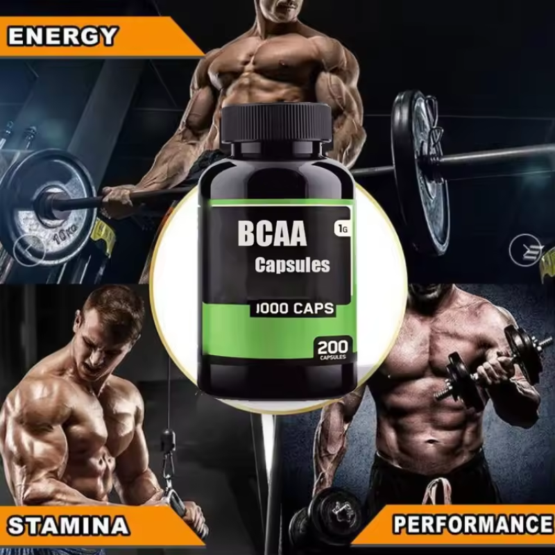 Private Label Ajuga Turkestanica Extract Supplement Factory - 10% 2% 500mg Turkesterone Capsules