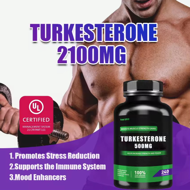 Private Label Ajuga Turkestanica Extract Supplement Factory - 10% 2% 500mg Turkesterone Capsules