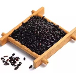 Source Factory Pea Protein Isolate Manufacturer - Organic Plant Based Protein Bulk Manufacturing