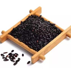 Source Factory Pea Protein Isolate Manufacturer - Organic Plant Based Protein Bulk Manufacturing