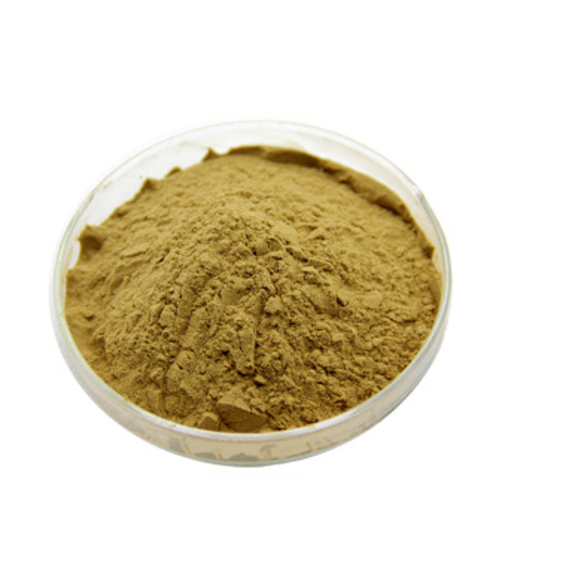 Factory Direct Liquorice Root Extract Supplier - High Quality Organic Licorice Root Powder