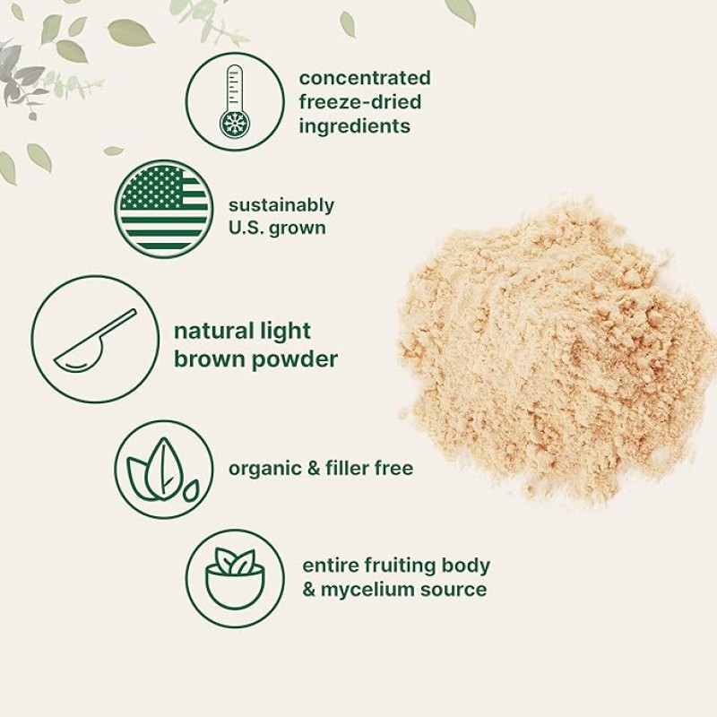 Source Factory Organic Hericium Erinaceus Extract Powder - Lions Mane Mushroom Extract Wholesale